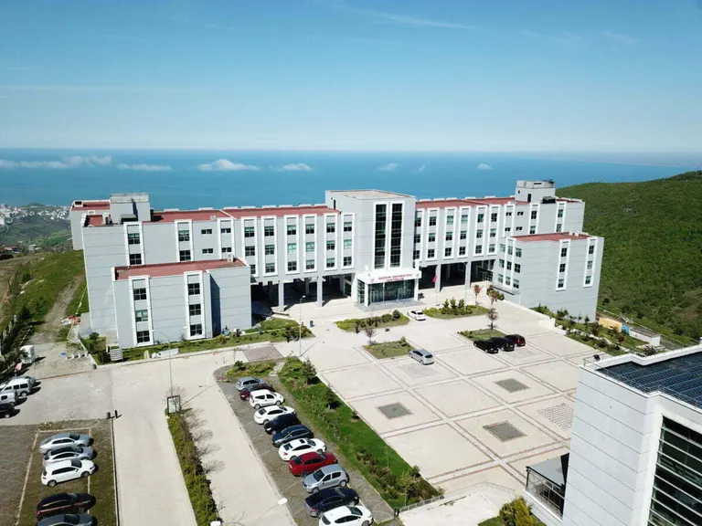 Samsun University