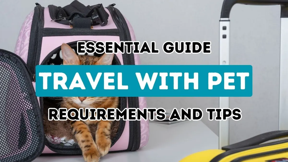 Ultimate Handbook for a Pet-Inclusive Turkish Adventure: Key Protocols and Helpful Suggestions
